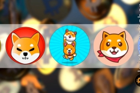 Meme kripto para birimlerine genel bakış! Satın almaya değer mi?