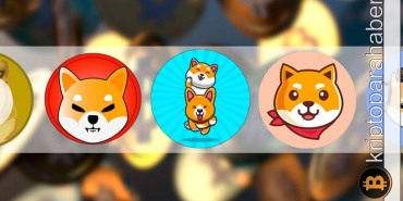 Meme kripto para birimlerine genel bakış! Satın almaya değer mi?