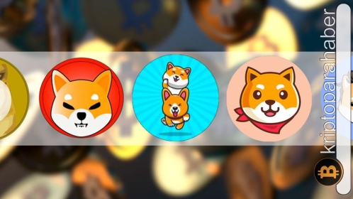 Meme kripto para birimlerine genel bakış! Satın almaya değer mi?