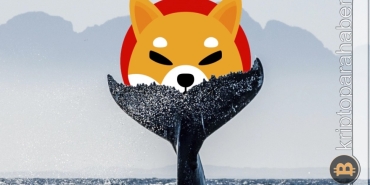 Shiba Inu balinalar tarafından toplanıyor! Rekor SHIB alımı gerçekleşti