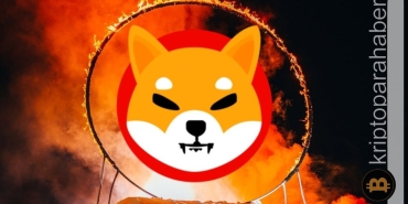 Shiba Inu (SHIB) yakım oranı %250'nin üzerinde arttı!