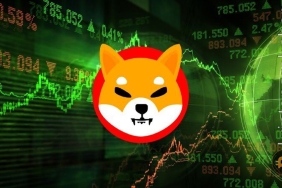 Shiba Inu, Temmuz ayında %100 Artış sağlayan temel desteğe dokundu!
