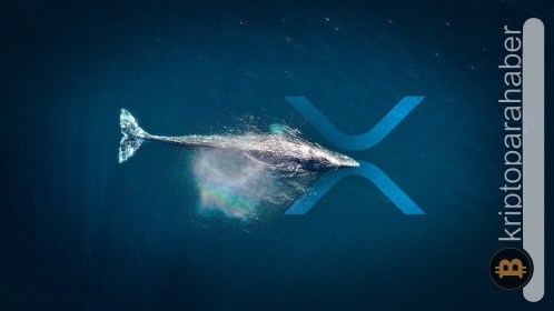 Balinalar son 24 saat içerisinde Ripple’a akın etti! İşte detaylar