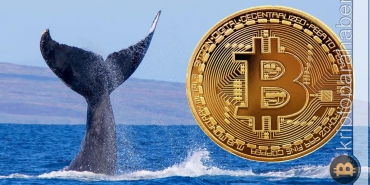 Bitcoin balinalarından önemli çıkış! BTC fiyatında son durum