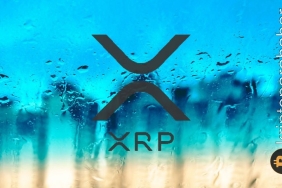 Ripple CTO'su XRP'nin fiyat performansını değerlendirdi!