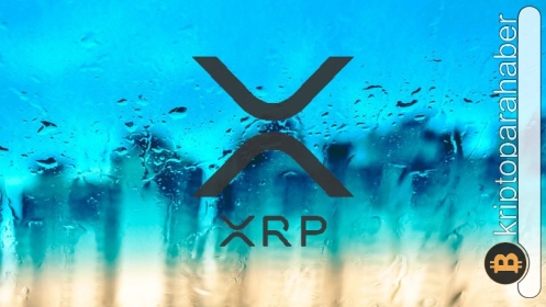 Ripple CTO’su XRP’nin fiyat performansını değerlendirdi!