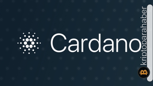 ADA, yeni haftaya pozitif başladı! Yüzde 12’lik bir yükseliş yaşanabilir