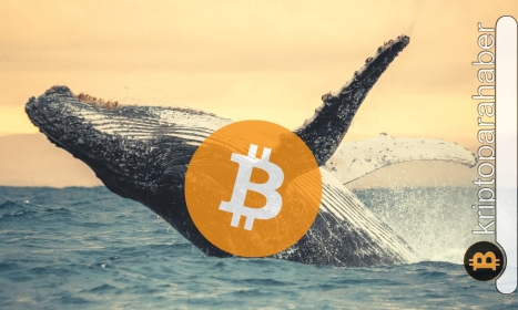 Bitcoin balinalarının sayısının artmasına rağmen ters giden şey ne?