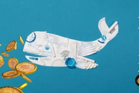 Bitcoin balina adresleri ralliye katkıda mı bulunuyor?