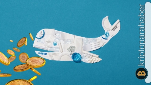 Bitcoin balina adresleri ralliye katkıda mı bulunuyor?