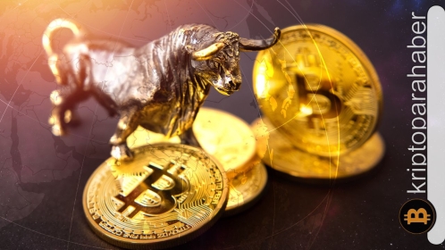 Ocak ayında başlayan Bitcoin Bull Run ve 2 ana sebebi!