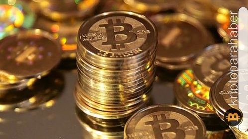 Ayı piyasasına rağmen Bitcoin yatırımcılarının sayısı yükselişte! Bunun sebebi nedir?