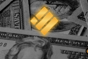 Bu stablecoin’in değeri son br iki içinde yüzde 22 arttı