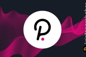 Polkadot ayıları, yılın en düşük seviyelerini hedefliyor! Geri dönüş umudu var mı?