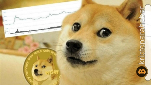 Ayılar geri döndü! DOGE, önümüzdeki günlerde kritik desteği yeniden test edebilir…