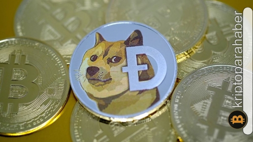 Dogecoin yatırımcı sayısı 3 ayda büyük bir büyüme kaydetti! Fiyata etkisini ne zaman göreceğiz?