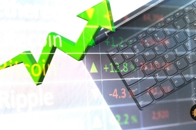 Kripto para haftaya genel bakış: FED kararı, bankaların çöküşü ve Bitcoin’deki artış…