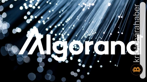 Bu metriklere göre ALGO yatırımcıları kayıpları telafi edebilir!