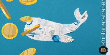 Bu major altcoin birikim patlaması yaşıyor: Balinalar varlığa daha fazla hücum ediyor!