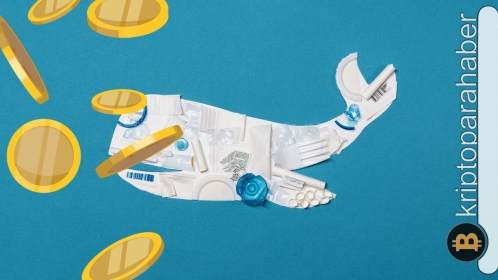 Balinalardan devasa XRP taşıması: Davanın seyrinde değişiklik mi var?