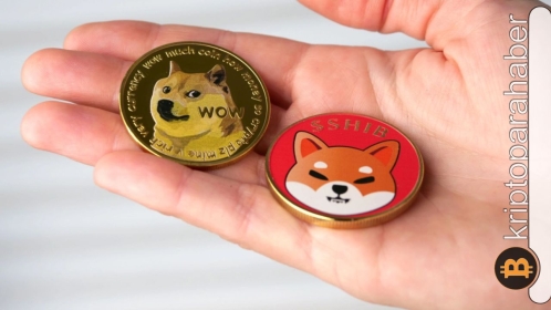 Piyasayı yukarı taşıyan DOGE ve SHIB’de son durum nedir?