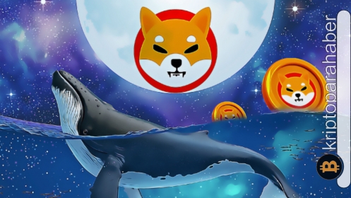 Shiba Inu balinaları düşüşü değerlendiriyor! Büyük satın alma işlemi fiyatı yükseltmeye yetecek mi?
