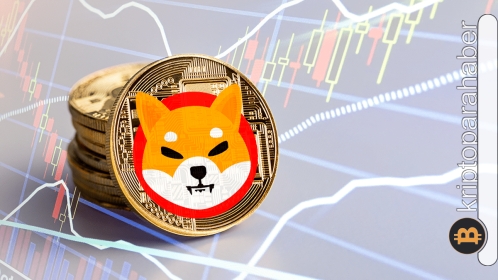 Shiba Inu benimsenmeleri artıyor: 2 dev küresel şirkette ödeme aracı olarak kullanılabilir!