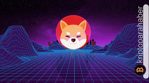 SHIB Metaverse ekibi lansman öncesinde yeni konsepti açıkladı! Fiyat nasıl etkilenecek?
