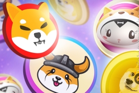 Bu meme coin listeleme haberlerinin ardından yükselişe geçti!