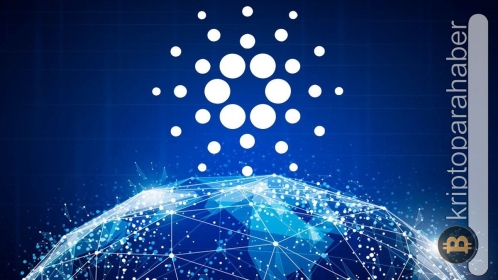 Cardano işlem hacmi olarak en büyük 3. NFT protokolü oldu!