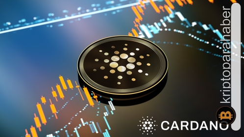 Cardano ağında yükseliş devam ediyor! İşte son veriler