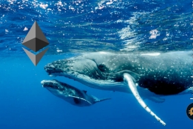 Ethereum balinaları ayı piyasasından korunmak için bu varlıkları satın alıyor!