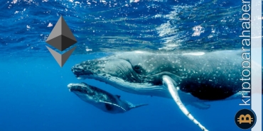 Ethereum balinaları ayı piyasasından korunmak için bu varlıkları satın alıyor!