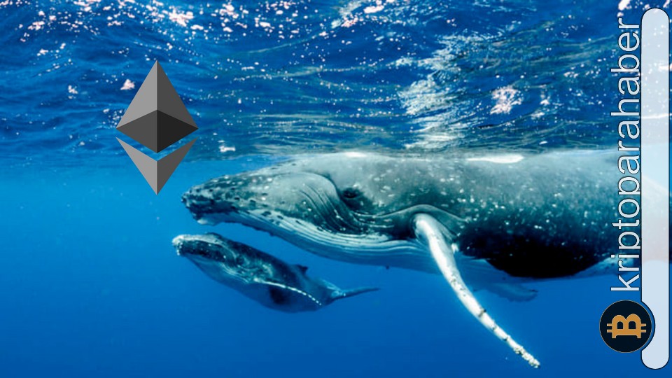 Ethereum balinaları ayı piyasasından korunmak için bu varlıkları satın alıyor!