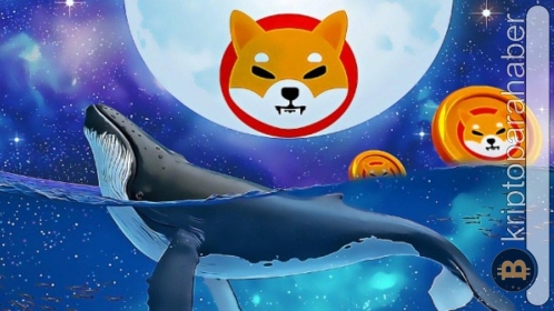 Balinalar Shiba Inu’dan ayrılıyor: SHIB’den sonra hangi tokenlere yatırım yapacaklar?