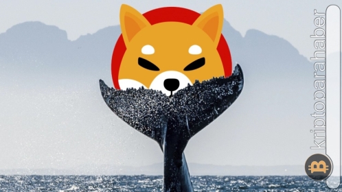 Ethereum balinası devrede: Yüklü miktarda SHIB ünlü borsaya aktarıldı!