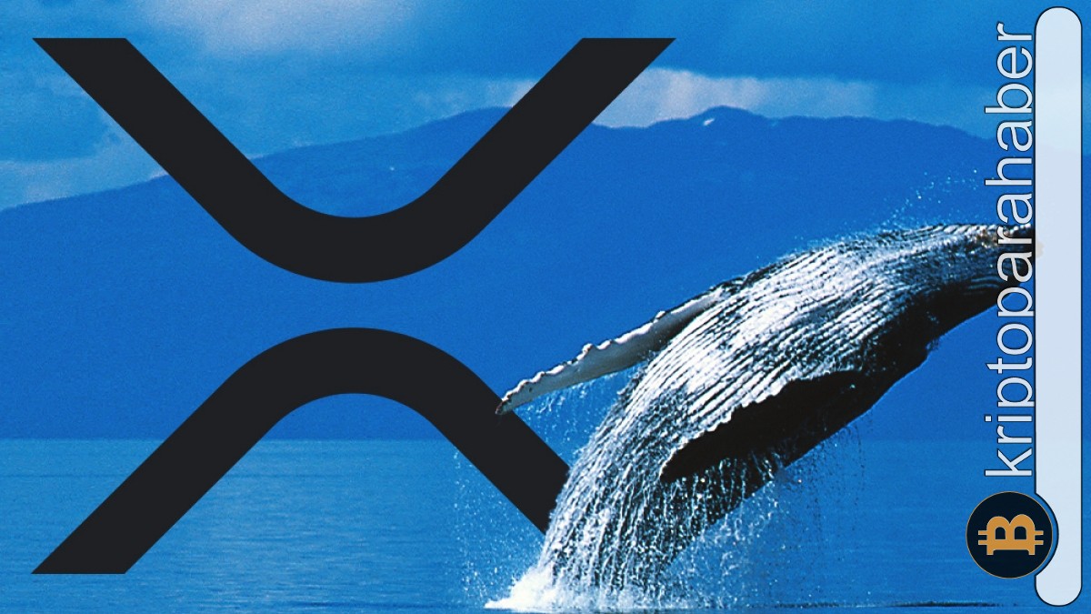 XRP'de dikkat çeken balina hareketliliği! Sebebi ne?