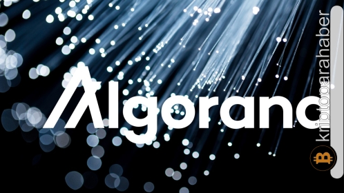 Bu altcoin, kısa vadede Bitcoin’den daha iyi performans gösterebilir! İşte sebebi…