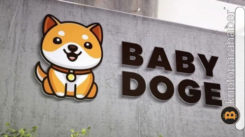 BabyDoge yakım işlemleri büyük bir gelişmenin kapısını açabilir!
