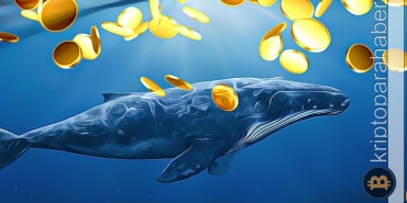 Balinalar son 24 saat içersinde bu altcoin'e akın etti!