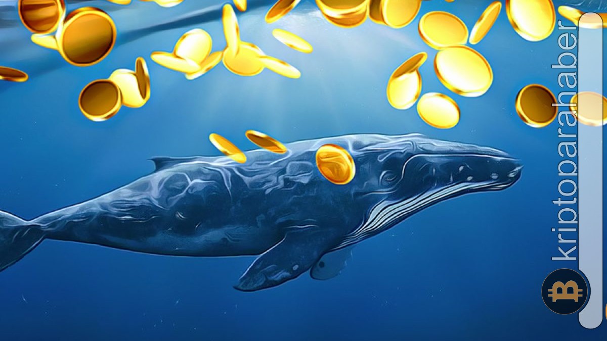 Balinalar XRP'den çıkış yaparken hangi altcoin'e yöneldi?