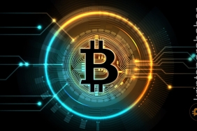 Elon Musk kripto kışı ve Bitcoin fiyatıyla ilgili görüşlerini paylaştı!