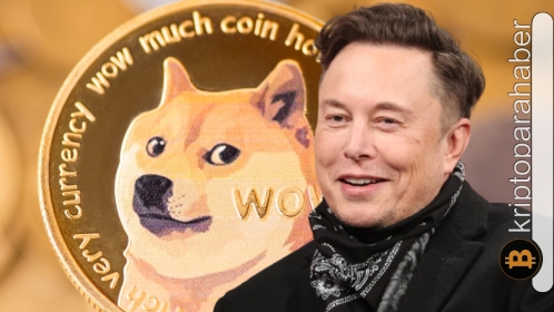 Twitter, beklendiği gibi pek de DOGE dostu olmayabilir! Bu durum nasıl kâra çevrilir?