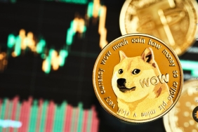 Dogecoin fiyat analizi: Önümüzdeki hafta nasıl hareket edecek?