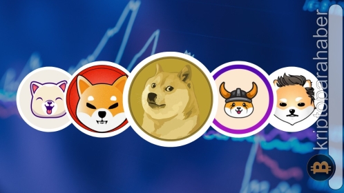 Ethereum balinaları bu meme coin’den çıkış yapıyor! İşte ayrıntılar