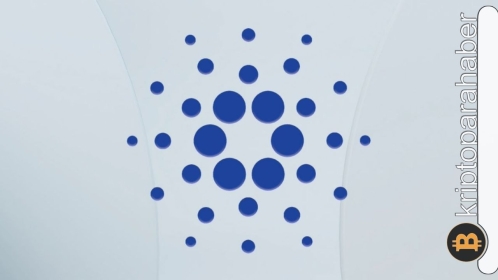 Cardano yatırımcıları için iyi günler geliyor mu? Merak edilen veriler…