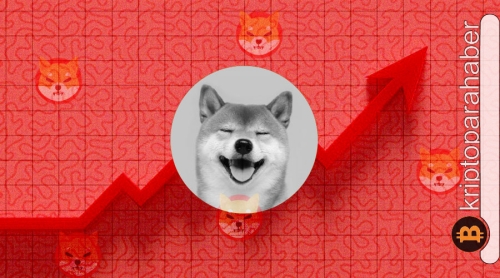 Shiba Inu, tarih tekerrür ederse büyük bir yükseliş yaşayabilir! İşte sebebi…