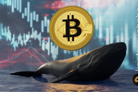 FTX çöküşünden sonra Bitcoin balinalarından dikkat çeken hamle! Neler oluyor?