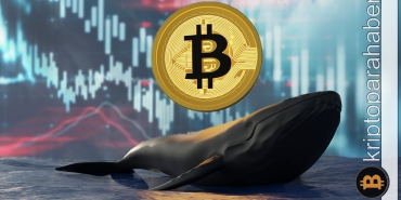FTX çöküşünden sonra Bitcoin balinalarından dikkat çeken hamle! Neler oluyor?