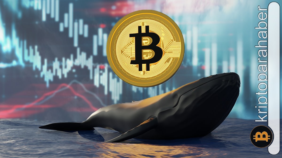 FTX çöküşünden sonra Bitcoin balinalarından dikkat çeken hamle! Neler oluyor?